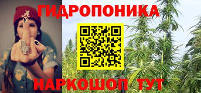стаф Краснокаменск