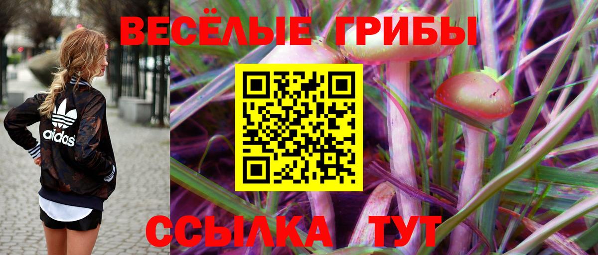 Псилоцибиновые грибы MAGIC MUSHROOMS  цена   Каменка  Вход с VPN 