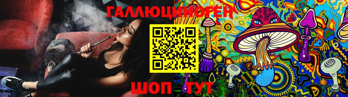 Псилоцибиновые грибы GOLDEN TEACHER Каменка